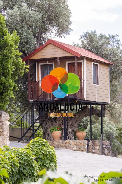 CAMPING ORGIVA CABAÑA DEL ARBOL