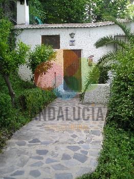 BARRANCO DE LA SALUD LA TERRAZA