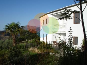 LA OVEJA VERDE APARTAMENTO 11 (2+2 PAX)