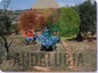 QUADS: RUTA OLIVOS CENTENARIOS