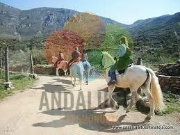 RUTA A CABALLO: 2 HORAS