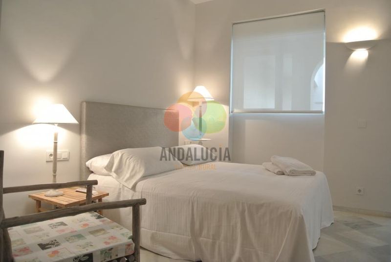 SUITE sevilla plaza 1 HABITACION (2 PAX)