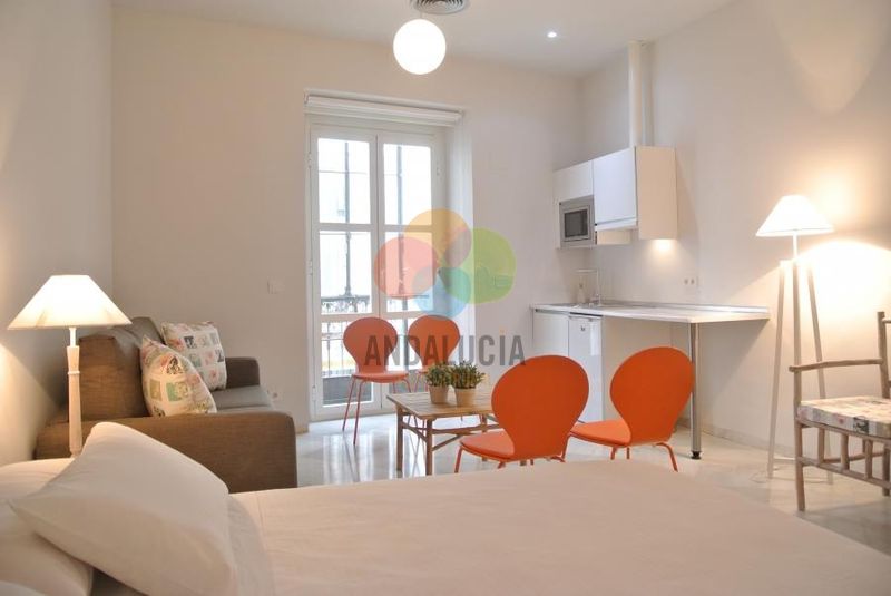 SUITE sevilla plaza  1 HABITACION + SALON (2+2 PAX)