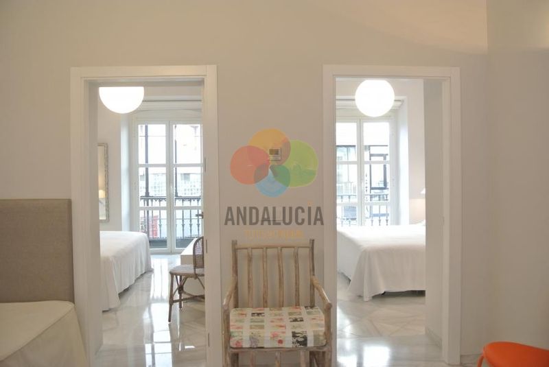 SUITE sevilla plaza 2 HABITACIONES + SALON (4+2 PAX)