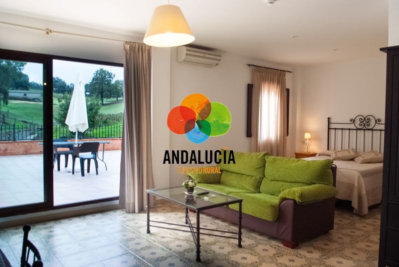 Estudios 2 plazas con terraza